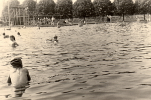 Senftenberg